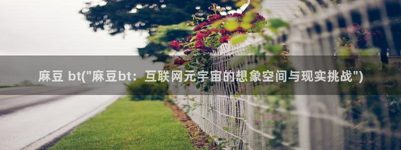 麻豆亚洲无矿砖码专区：麻豆 bt(\