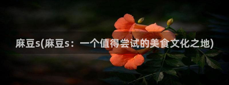 麻豆国色专区：麻豆s(麻豆s：一个值得尝试的美食文化之地)