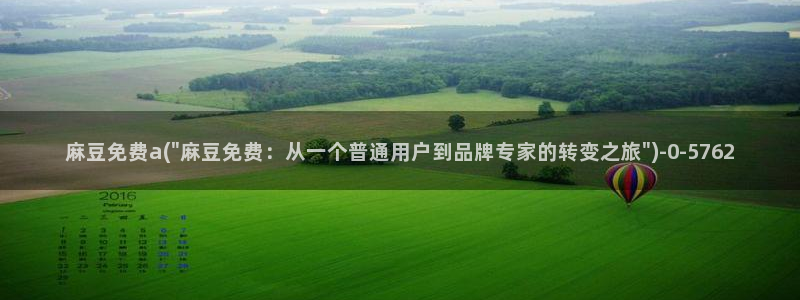 欧美专区麻豆：麻豆免费a(\