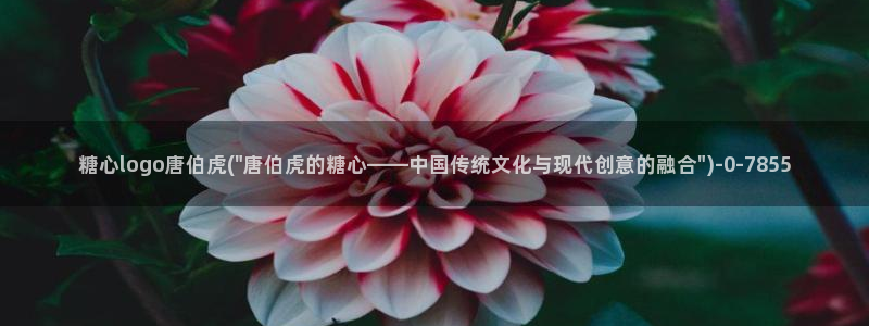 糖心vlog免费软件：糖心logo唐伯虎(\
