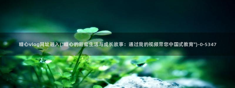 糖心心vlog：糖心vlog网址进入(\