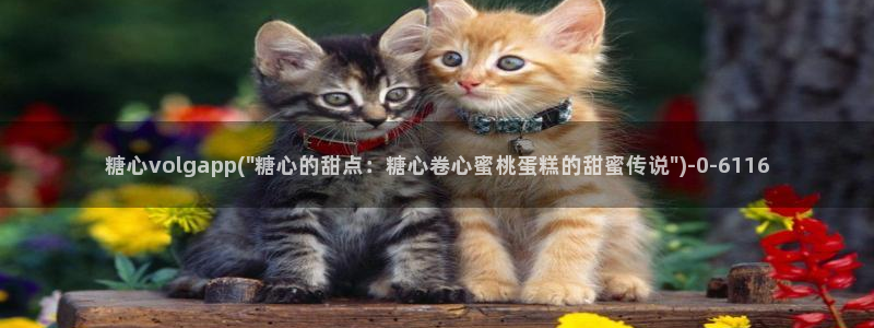 糖心vlog视频免费观看：糖心volgapp(\