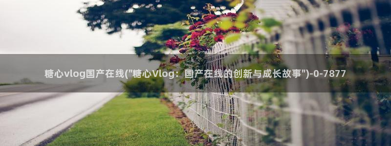 糖心vlog星辰影院：糖心vlog国产在线(\