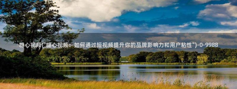 糖心vlog女主汇总